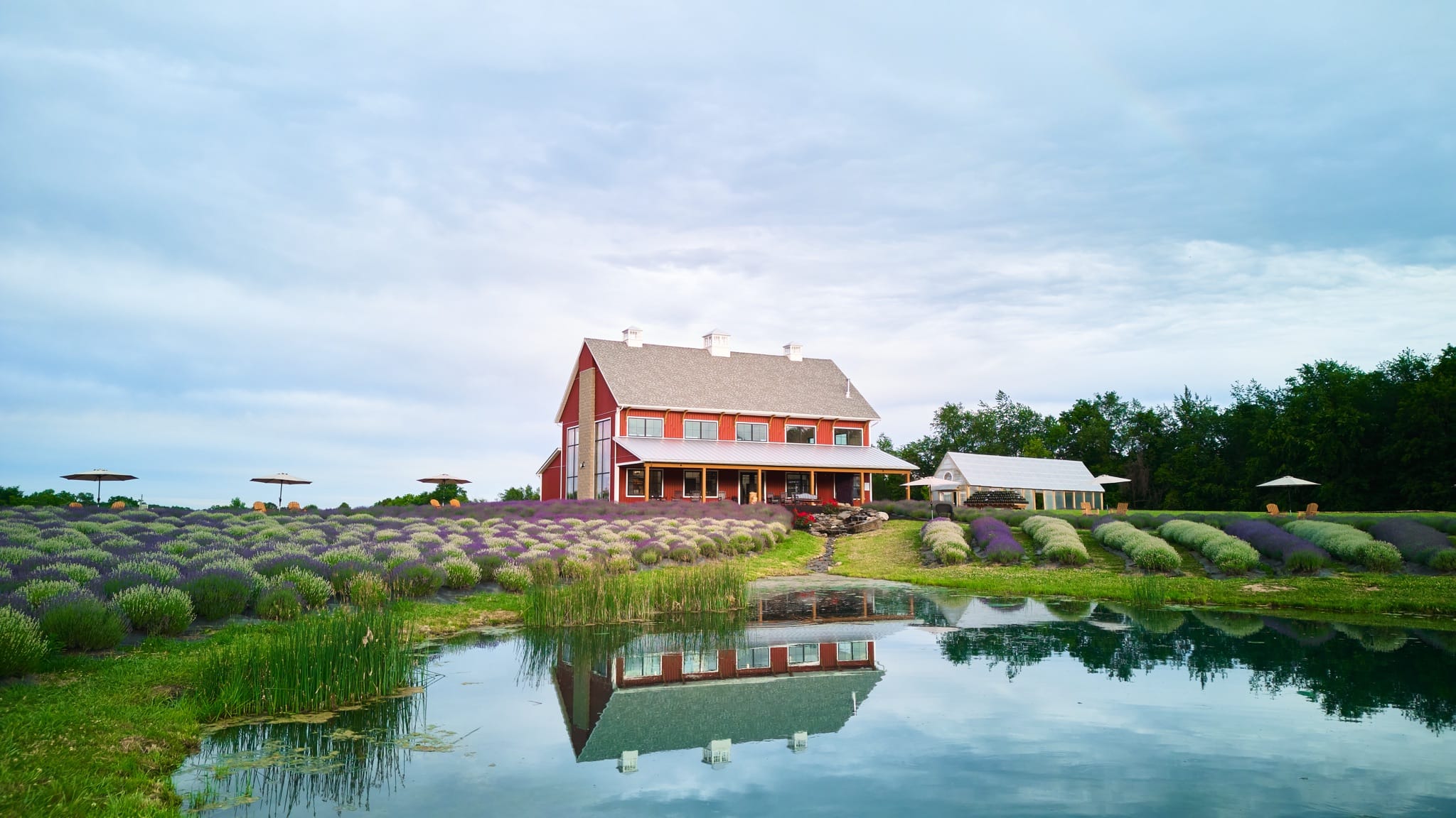 New The Custom Barn photo