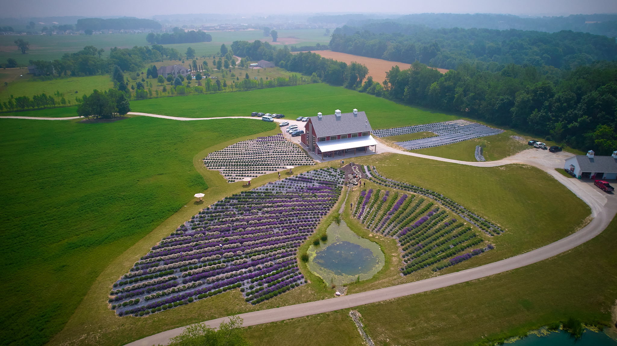 Stanton Farms 2023 Overview