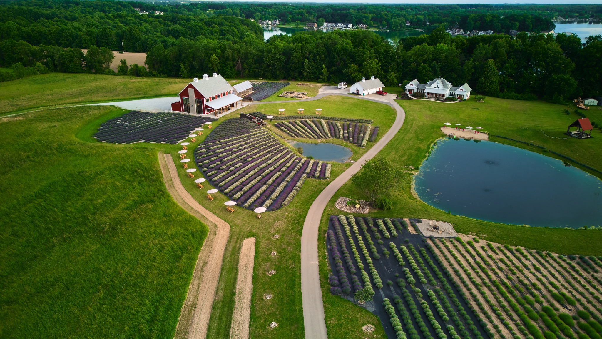 Stanton Farms Llf 054